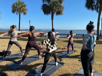 Outdoor yoga class practicing Warrior II on mats in a sunny bayfront park with palm trees, grassy lawn and calm water in the background
