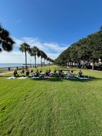 Group yoga class seated on towels on a green lawn at a palm‑lined waterfront promenade, bright blue sky with bay and a pier visible in the background.