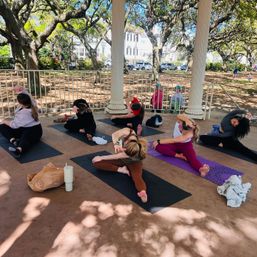 Group yoga class on mats in a park gazebo under sprawling oak trees, participants stretching in seated side-bend poses — sunny, shaded outdoor workout.