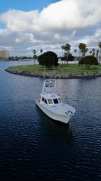 White sportfishing boat anchored in a coastal harbor beside a palm-lined rocky shoreline and grassy park beneath puffy clouds