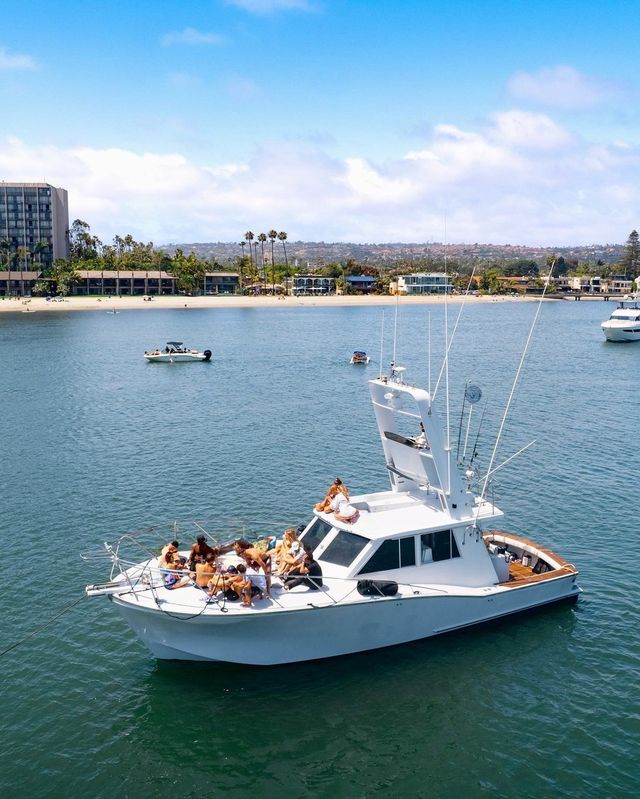 White sportfishing yacht with a group lounging on the bow in a sunny, palm‑lined coastal bay with small boats and beachfront buildings in the background.