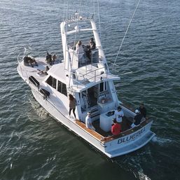 Aerial view of a sleek white motor yacht cruising on calm blue open water with people relaxing on the aft deck and flybridge, enjoying a sunny boat outing.