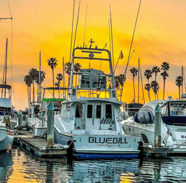 Sportfishing yacht docked at a Southern California marina at sunset, tall palm trees silhouetted against a golden sky and colorful reflections on the water.