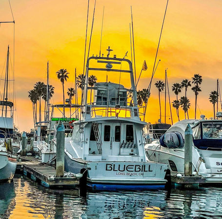 Sportfishing yacht docked at a Southern California marina at sunset, tall palm trees silhouetted against a golden sky and colorful reflections on the water.