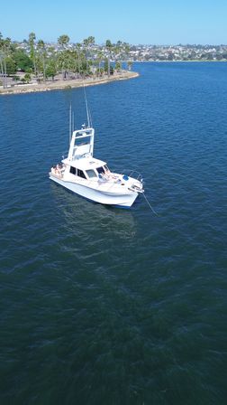 White motor yacht anchored in a sunny blue bay with passengers relaxing on deck, palm‑lined shoreline and distant cityscape on the horizon