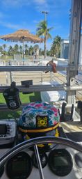 Paradiso Tiki Tours — Miami's Only BYOB Tiki Boat Cruise to Haulover Sandbar & Raccoon Island image 6