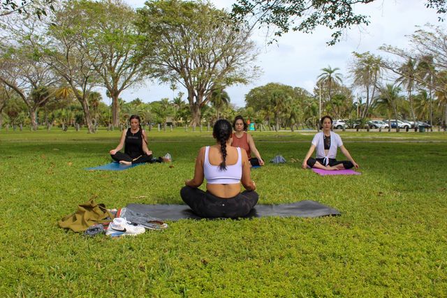 The Essence  Private Culinary & Wellness Experience image 4