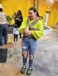 Smiling visitor in a neon green sweater holding a large python draped around their shoulders at an indoor reptile exhibit with yellow walls and other visitors in the background.