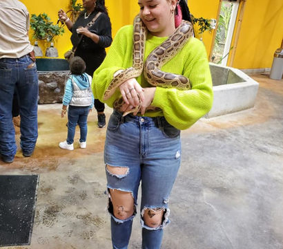 Smiling visitor in a neon green sweater holding a large python draped around their shoulders at an indoor reptile exhibit with yellow walls and other visitors in the background.