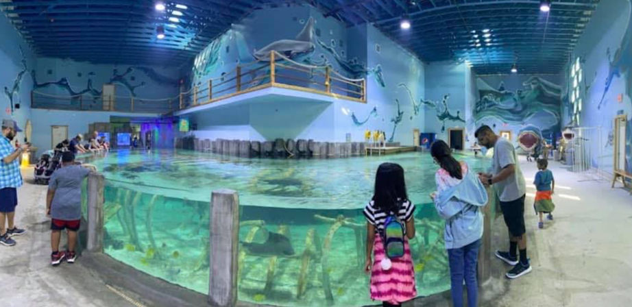Families and children at an indoor aquarium exhibit gather around a large interactive touch pool with turquoise water, visible fish and a stingray, ocean-themed murals and an upper viewing walkway.
