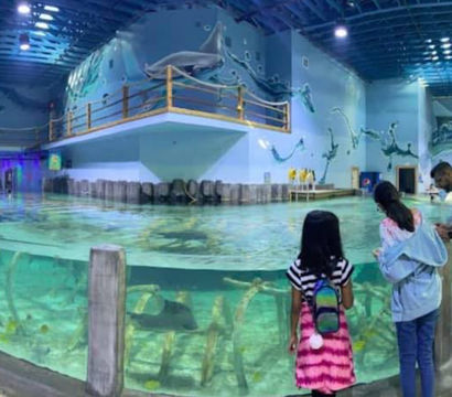 Families and children at an indoor aquarium exhibit gather around a large interactive touch pool with turquoise water, visible fish and a stingray, ocean-themed murals and an upper viewing walkway.