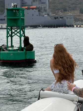 Person with long red hair on an inflatable boat watches playful sea lions lounging on a green navigation buoy with a seagull and a large gray ship in the harbor.