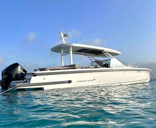 Private Puerto Rico Boat & Yacht Party to Icacos or Palomino: Captain, Crew and Drinks Included! image 12