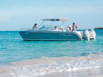  Private Puerto Rico Boat & Yacht Party to Icacos or Palomino: Captain, Crew and Drinks Included! image 13