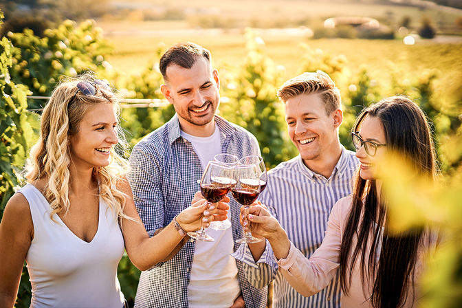 Cheerful group of four friends toasting red wine in a sunlit vineyard with rolling countryside