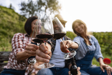 Three friends clinking red wine glasses in a sunny vineyard on a grassy hillside, close-up of hands and glasses during an outdoor wine-tasting toast.