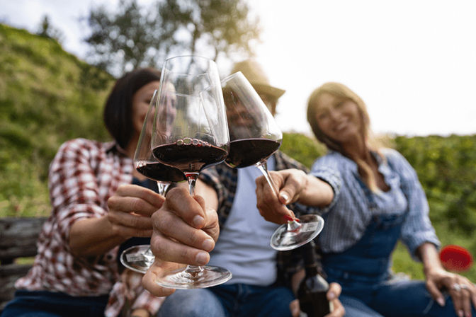Three friends clinking red wine glasses in a sunny vineyard on a grassy hillside, close-up of hands and glasses during an outdoor wine-tasting toast.