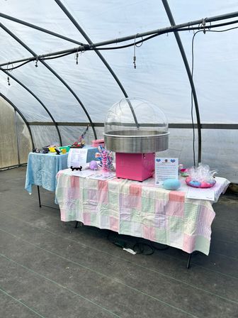Pink cotton candy machine on a pastel patchwork table at a greenhouse market stall with bowls, signage and supplies