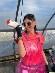 The Beehive Spin Interactive Live Cotton Candy Art image