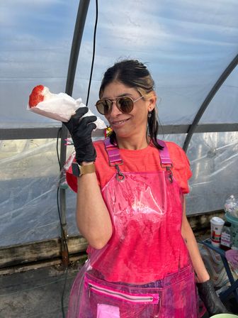 The Beehive Spin Interactive Live Cotton Candy Art image 1