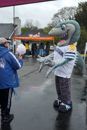 The Beehive Spin Interactive Live Cotton Candy Art image 27