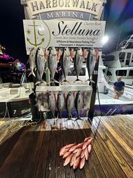 Destin / 30a’s Offshore Fishing Charter Boat image 38