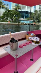 Private Pink Electric Boat Cruise in Fort Lauderdale image 21