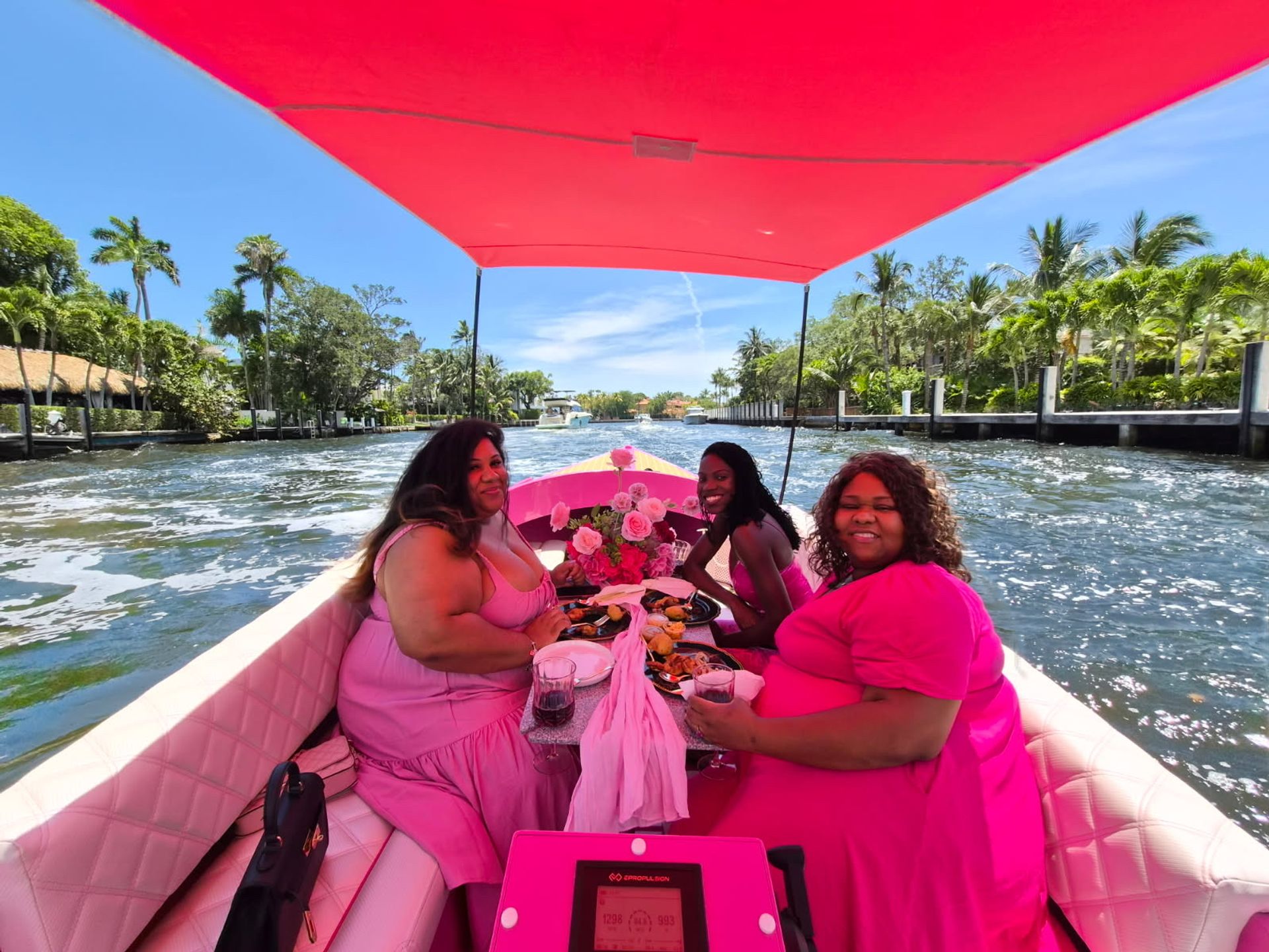 Pink Electric Boat Picnic Cruise image 1