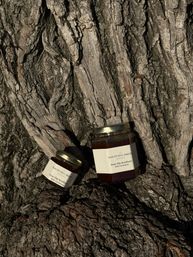 Sunlit rustic scene of two glass jars of rose hip jam with cardamom nestled on rugged weathered tree bark outdoors