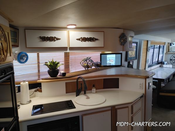 Party Boat for up to 30 with Mutineers Charters on Lake Lewisville (4 Hour Charter) image 8