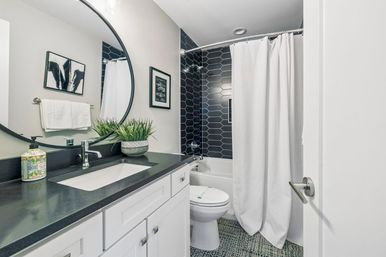 Sleek modern bathroom with black hexagon tile shower, white tub and curtain, black countertop vanity, round mirror and potted plant