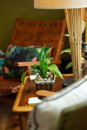 Small green potted plant in a ceramic planter on a wooden side table beside a bamboo lamp in a cozy living room corner with a woven leather chair and patterned cushion.