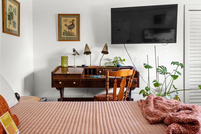 Cozy bedroom with pink quilted bedspread, vintage wooden writing desk and chair, wall-mounted flat-screen TV, potted monstera and other houseplants, twin brass desk lamps and framed bird prints on a white wall.