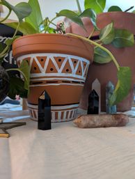 Growing Intentions Plant Propagation Workshop image 6