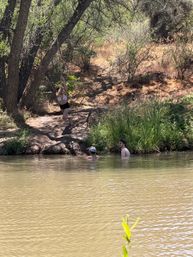 Verde River Kayak + Brewery: Guided Float Through the Sedona Wine Country image 14
