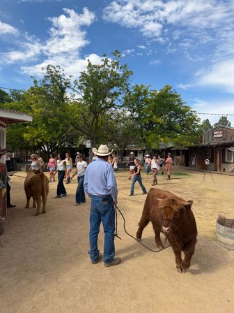 Cowboy & Cowgirl Night Out: Saloon, BB Gun Gallery, Axe Throwing, BBQ Dinner + Live Show! image 14