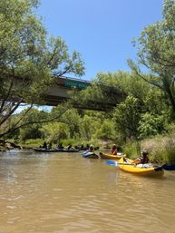 Verde River Kayak + Brewery: Guided Float Through the Sedona Wine Country image 10