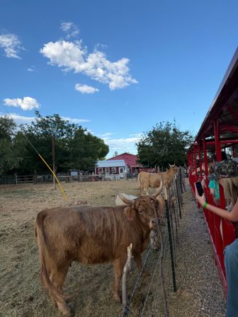 Cowboy & Cowgirl Night Out: Saloon, BB Gun Gallery, Axe Throwing, BBQ Dinner + Live Show! image 21