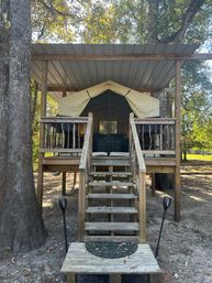 Canvas glamping tent on a raised wooden platform with steps and porch under a metal roof in a leafy woodland campsite