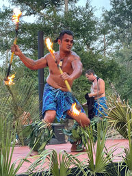 Shirtless performer in a blue patterned sarong and leaf anklets spins flaming torches in a dynamic outdoor luau-style fire dance on a tropical stage framed by palm fronds.
