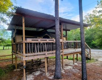 Raised rustic wooden deck with stick-railings and steps hosting a cozy canvas glamping tent under a corrugated metal roof, nestled among pine trees in a wooded campsite.