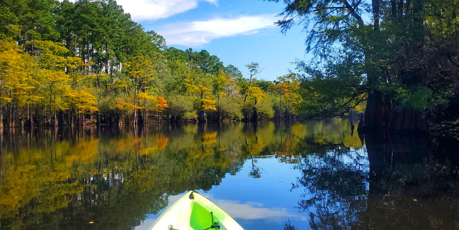 Bow of a green kayak on a calm river winding through cypress trees with golden autumn foliage reflected in the water