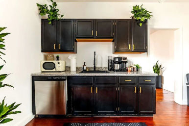Cozy modern kitchenette with matte black cabinets and brass pulls, marble-look countertop, stainless dishwasher, black sink with gooseneck faucet, microwave and coffee station, potted green plants and warm hardwood floors.