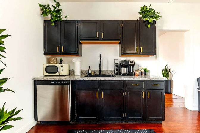 Cozy modern kitchenette with matte black cabinets and brass pulls, marble-look countertop, stainless dishwasher, black sink with gooseneck faucet, microwave and coffee station, potted green plants and warm hardwood floors.