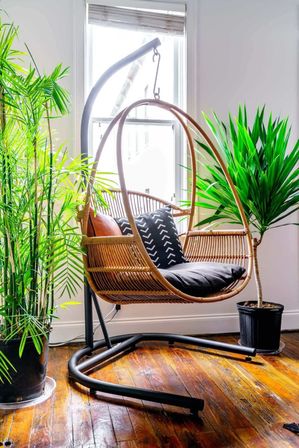 Sunlit indoor hanging rattan chair with black cushion and patterned pillow, surrounded by potted tropical plants on a warm hardwood floor — cozy modern reading nook.