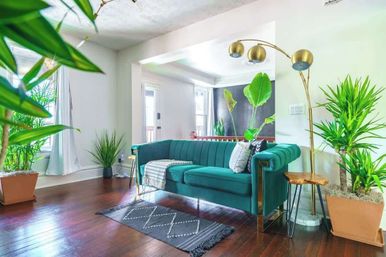 Bright modern living room with teal velvet sofa, gold arc floor lamp, hardwood floors, patterned rug, and large potted houseplants by sunlit windows.
