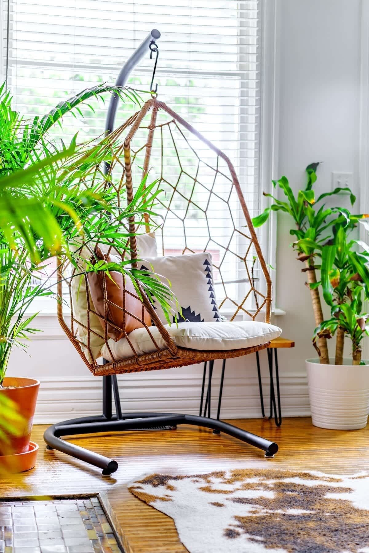 Sunlit boho-style hanging rattan chair with cushions beside lush houseplants by a large window on hardwood floors — cozy indoor reading nook