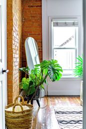 Sunlit cozy apartment nook with exposed brick wall, full-length leaning mirror, large monstera plant in a black planter, woven basket on polished hardwood floors and a patterned rug by a bright white window.