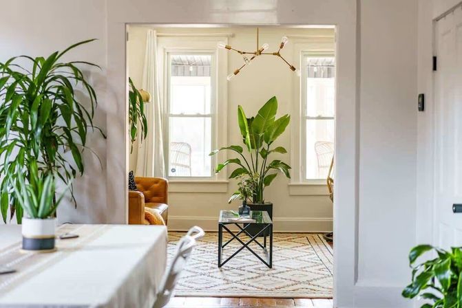 Sunlit living room with a large potted bird-of-paradise plant centered on a black metal coffee table, tan leather sofa, patterned area rug, modern brass chandelier and white-trimmed windows — cozy neutral interior with multiple indoor plants.