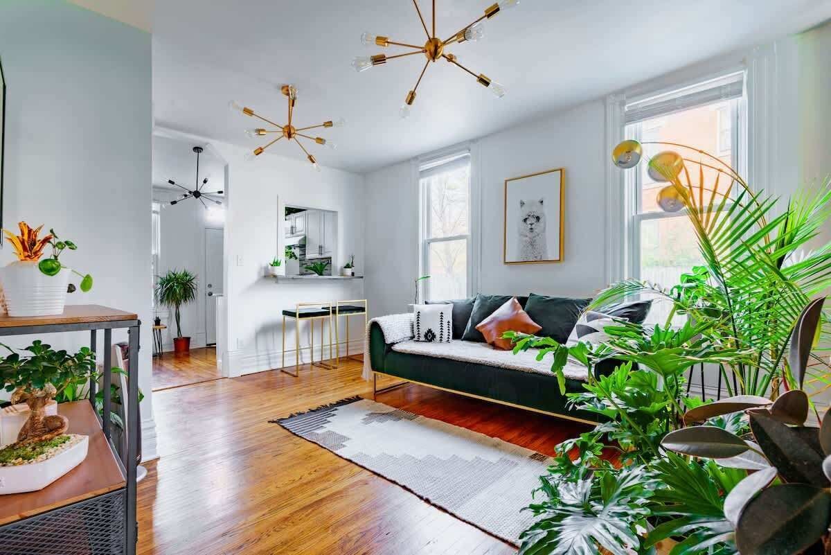 Sunny modern apartment living room with hardwood floors, green velvet sofa, gold starburst light fixtures, large windows and abundant indoor plants